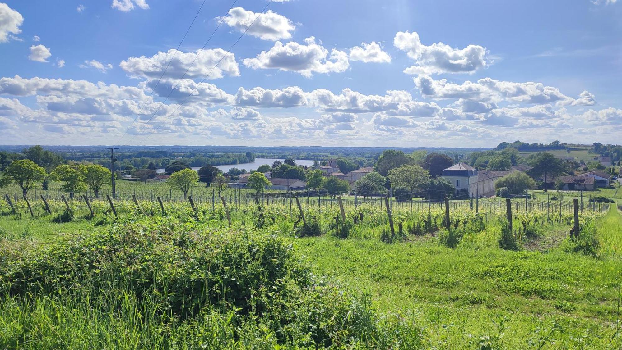 Maison Charmeilles - La Suite Saint Emilion Fronsac  Eksteriør billede