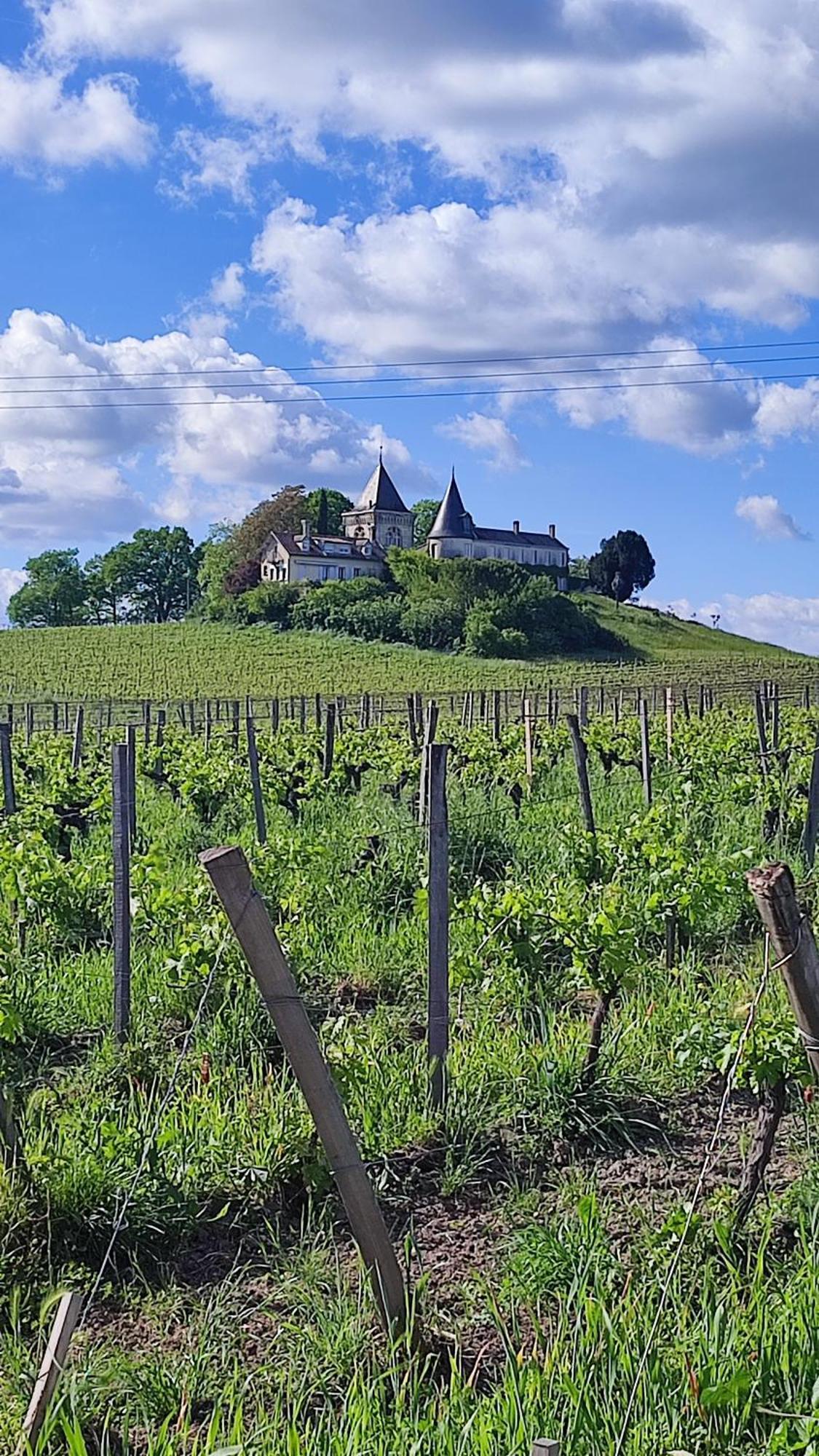 Maison Charmeilles - La Suite Saint Emilion Fronsac  Eksteriør billede