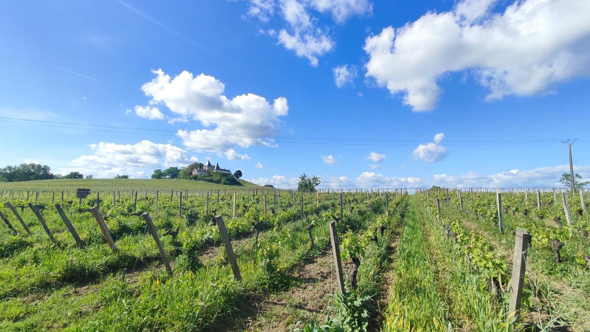 Maison Charmeilles - La Suite Saint Emilion Fronsac  Eksteriør billede